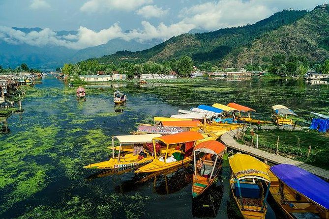 srinagar-tour